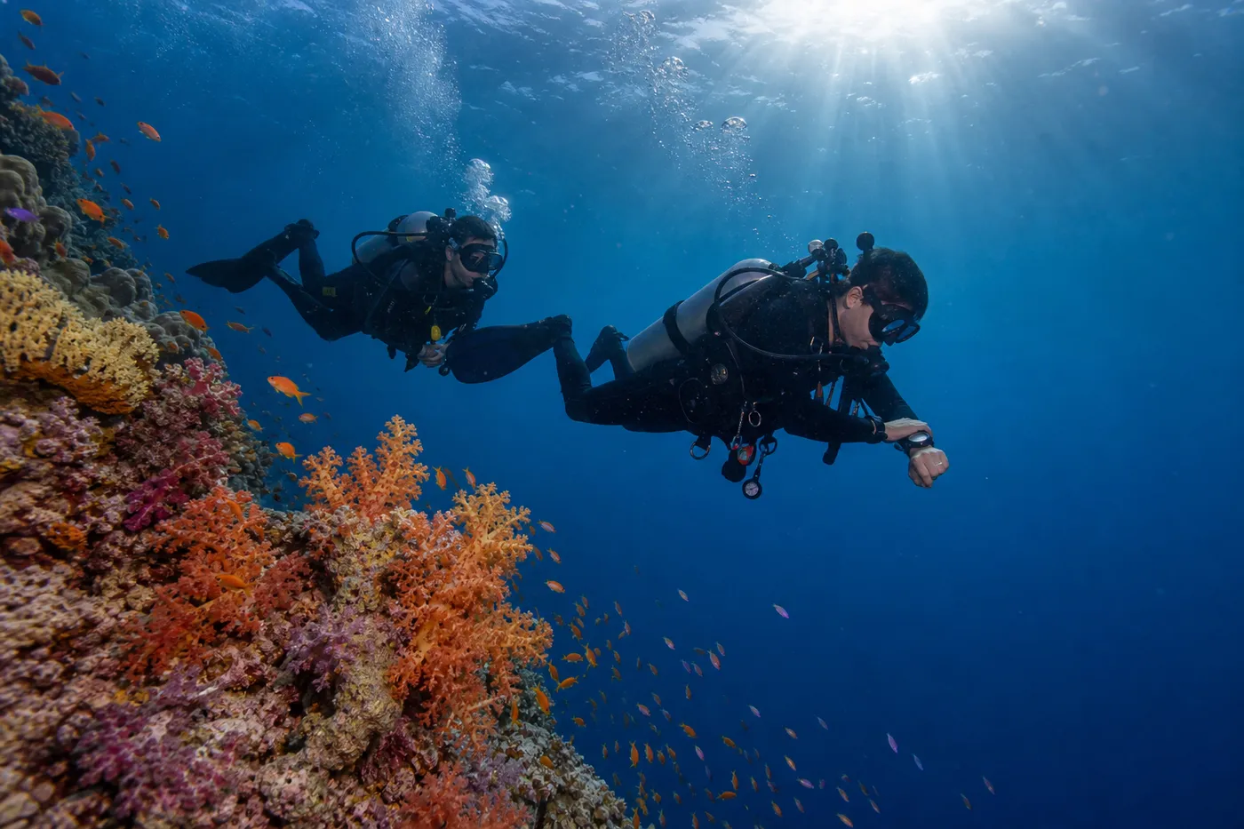 Two divers in flat trim following a soft coral wall in Indonesia, one checking a wrist dive computer for no-decompression time