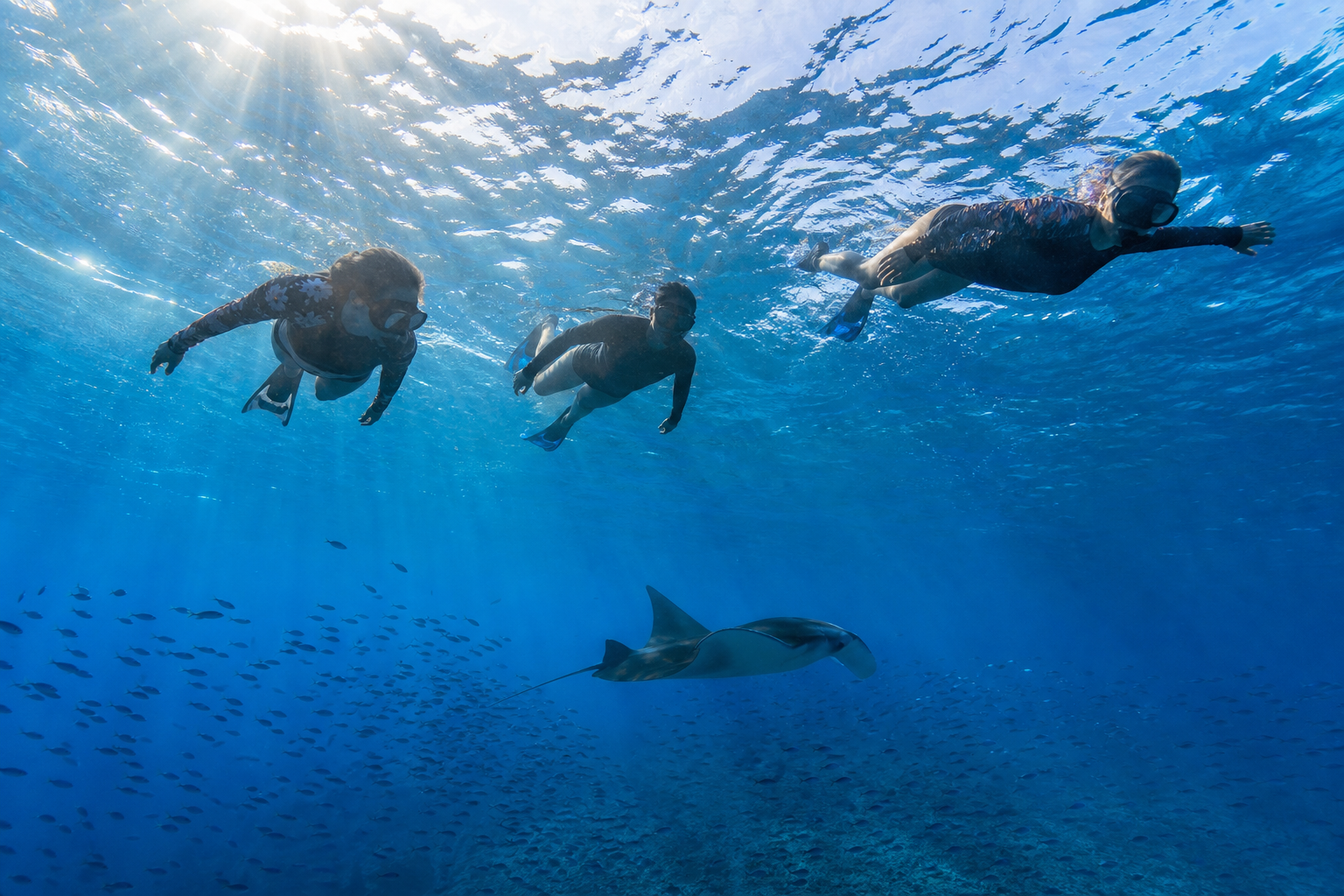Three snorkelers floating at the surface in clear blue water above a manta ray gliding several metres below them, Komodo Manta Point, with sun rays piercing the surface and a school of small fish in the foreground