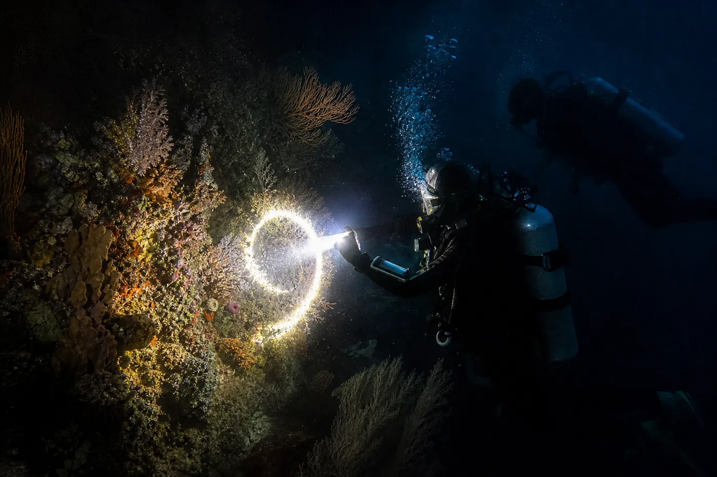 Diver drawing a slow circle with a torch beam against the reef to signal OK on a night dive