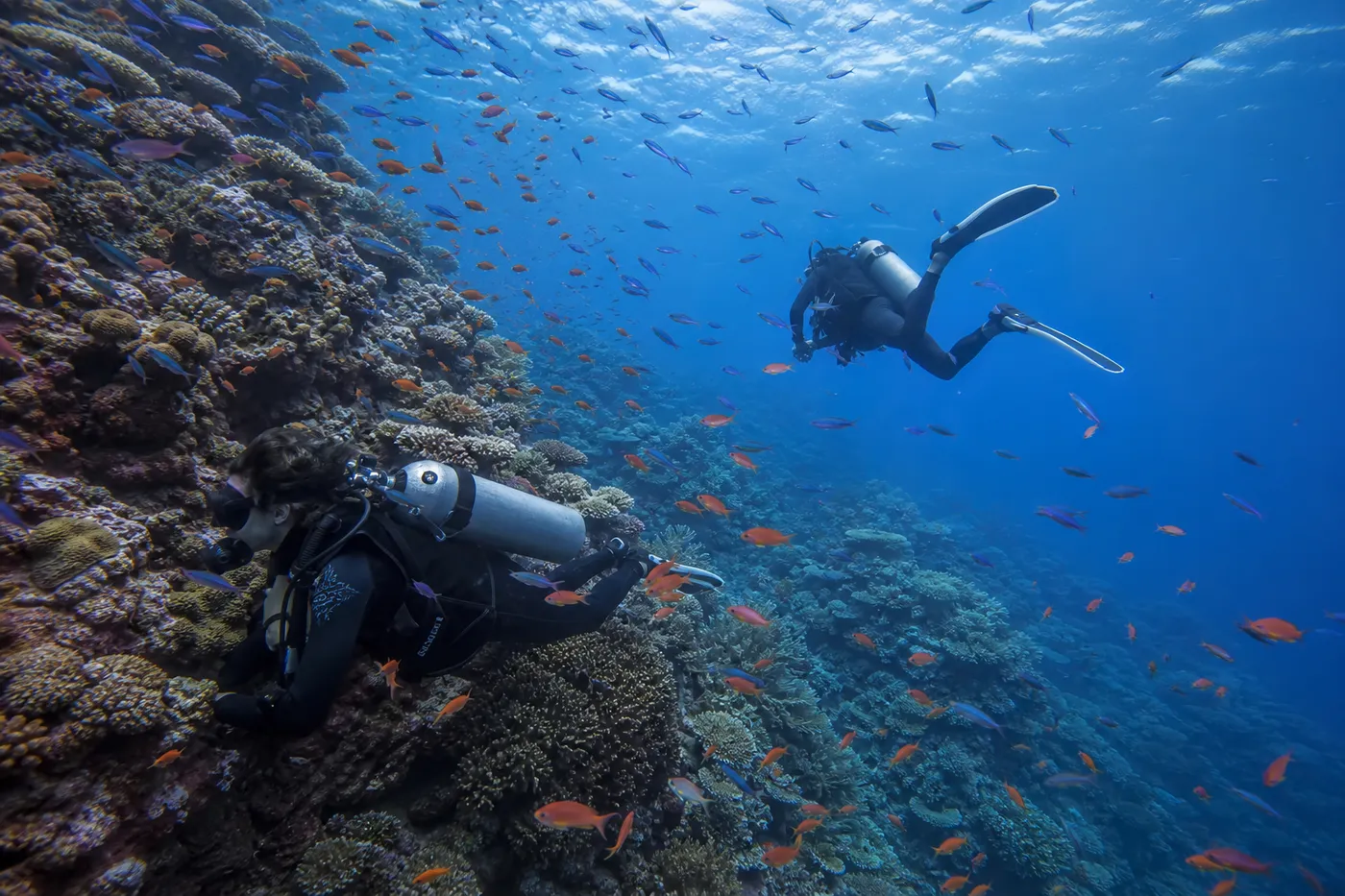 Two divers drifting along an Indonesian reef wall in current, one tucked low behind the coral where the flow is weaker