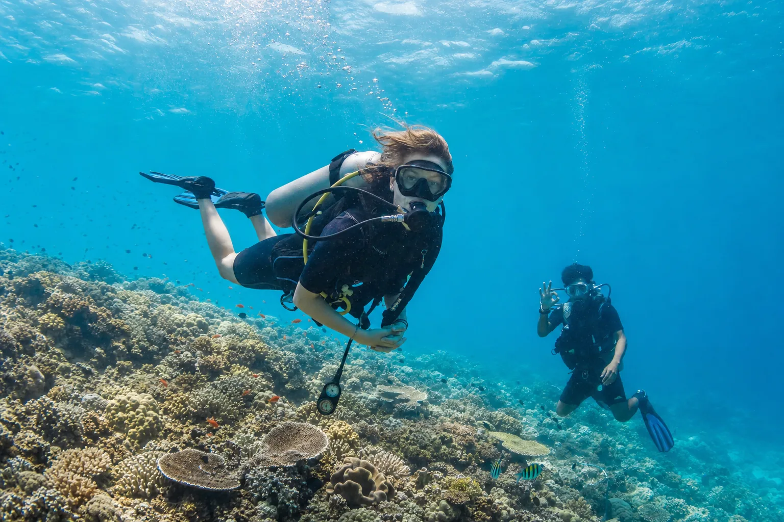 ¿Pueden los principiantes hacer un crucero de buceo? Certificación, cursos y confianza en Indonesia (2026)