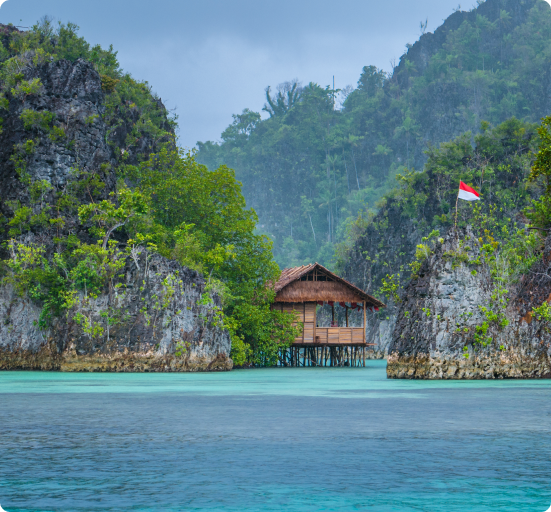 Diver exploring a coral wall in the Banda Sea