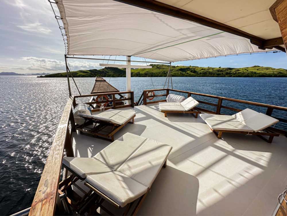 Komodo Sea Dragon sun deck