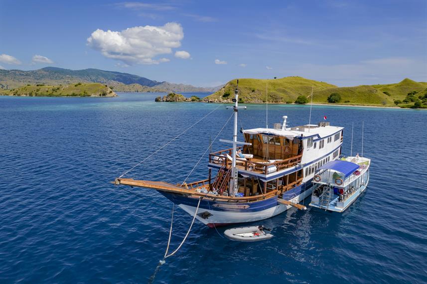 Komodo Sea Dragon sailing