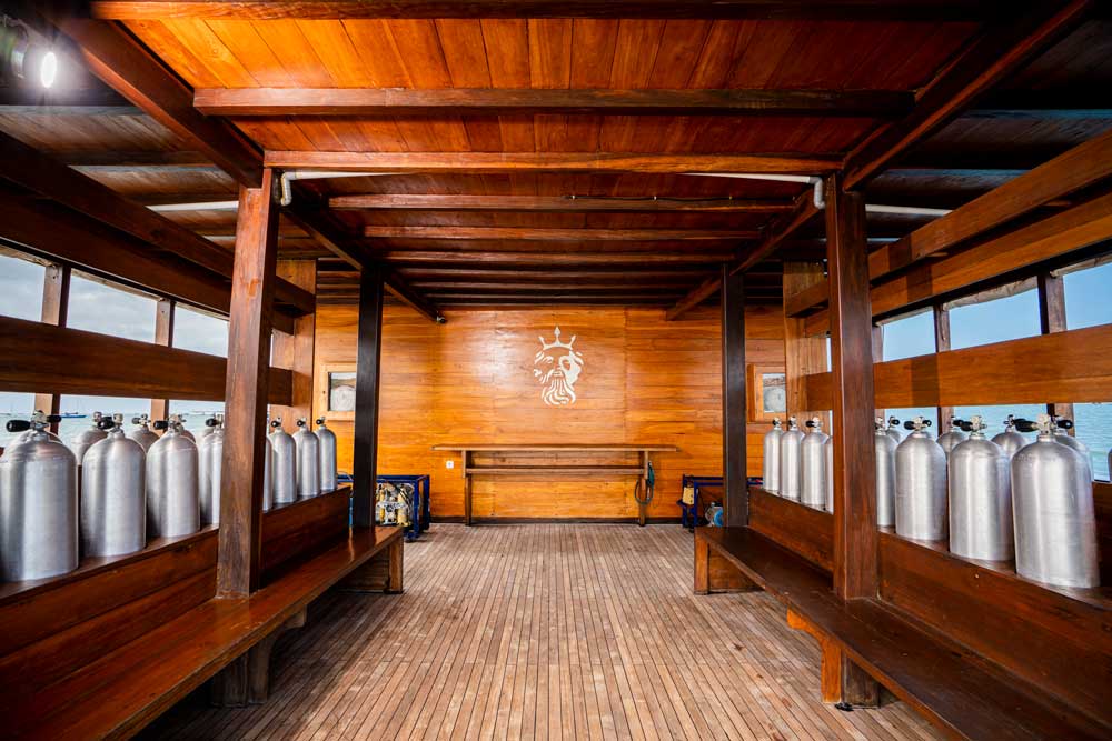 Neptune One dive deck