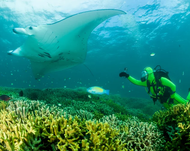 Komodo National Park&rsquo;s Underwater Adventure
