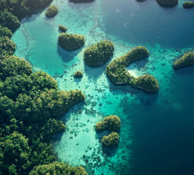 7 Best Dive Sites in Raja Ampat