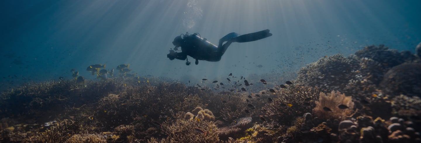 Scuba Diving Indonesia
